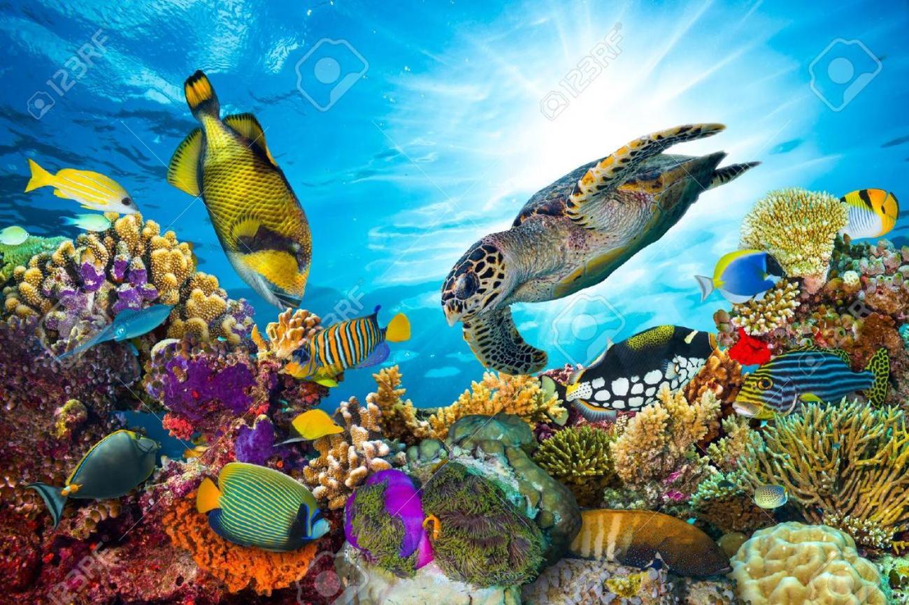 L'Ocean Bleu Des Anses Lägenhet Fond Fleury Exteriör bild